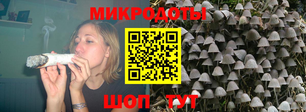 Галлюциногенные грибы Psilocybe  Вход с VPN  Новочеркасск  Псилоцибиновые грибы GOLDEN TEACHER 