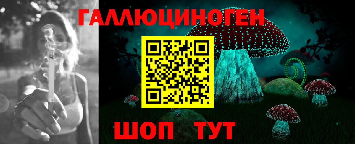 Псилоцибиновые грибы Psilocybine cubensis Новочеркасск